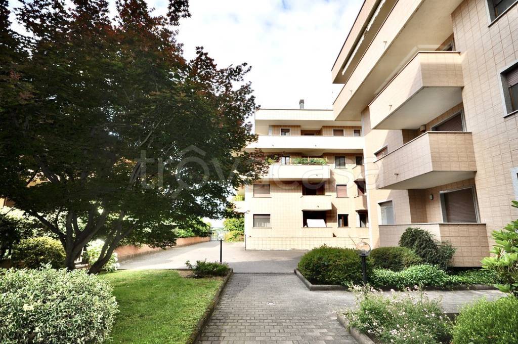 Appartamento in vendita a Novara via Fratelli Dandolo, 7