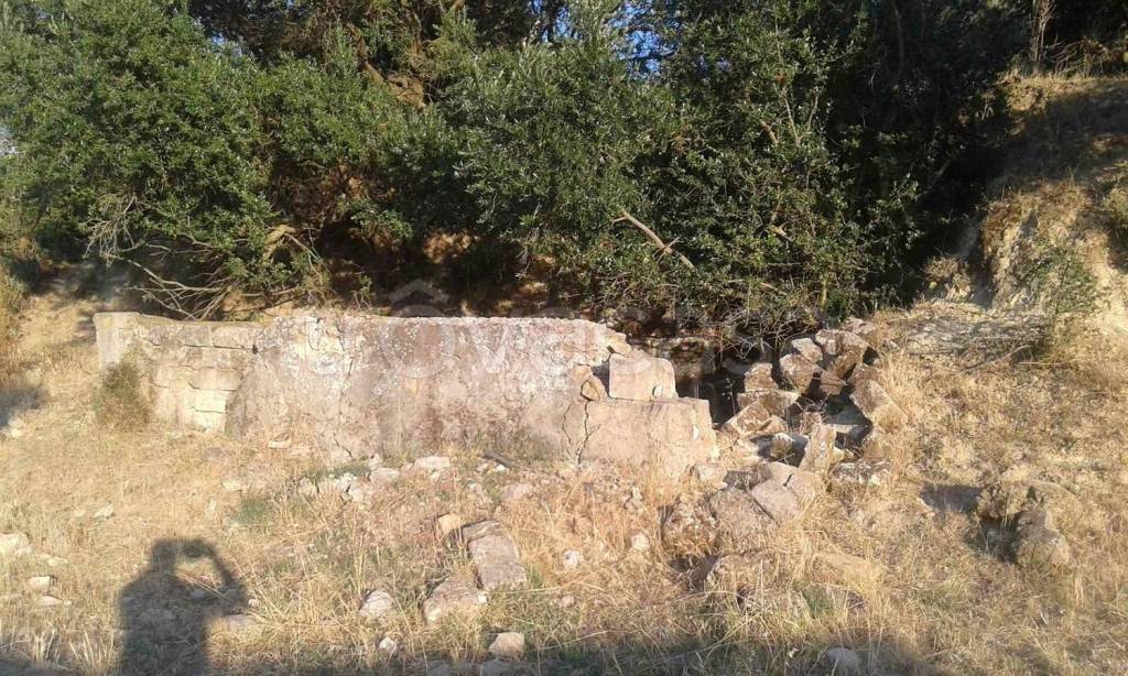 immagine annuncio 5 di 14
