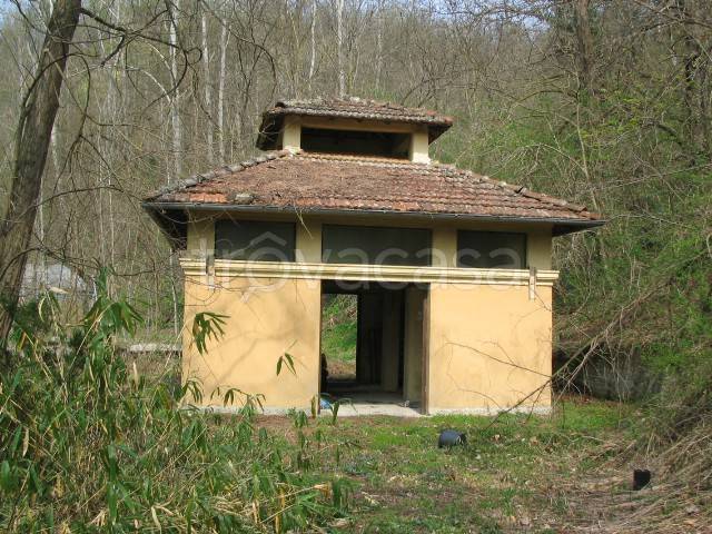 immagine annuncio 1 di 12