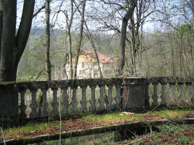 immagine annuncio 3 di 12