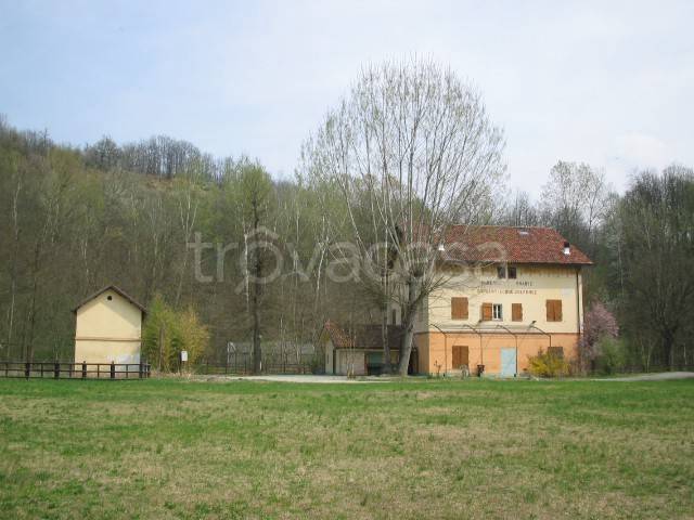 immagine annuncio 9 di 12