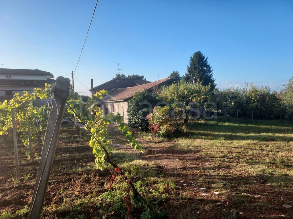 Terreno Agricolo in vendita a Velletri via di Contrada Comune, 87