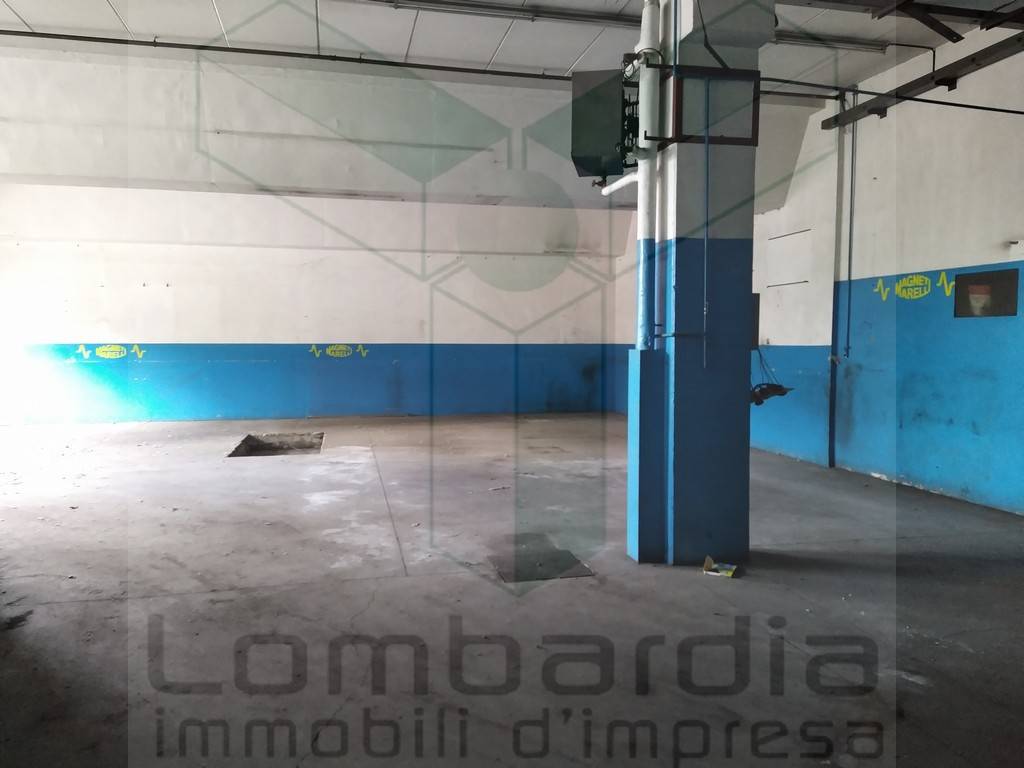 immagine annuncio 14 di 15