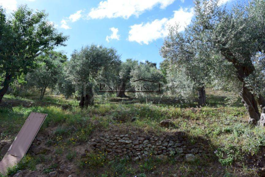 Terreno Agricolo in vendita a Corigliano-Rossano contrada Colagnati