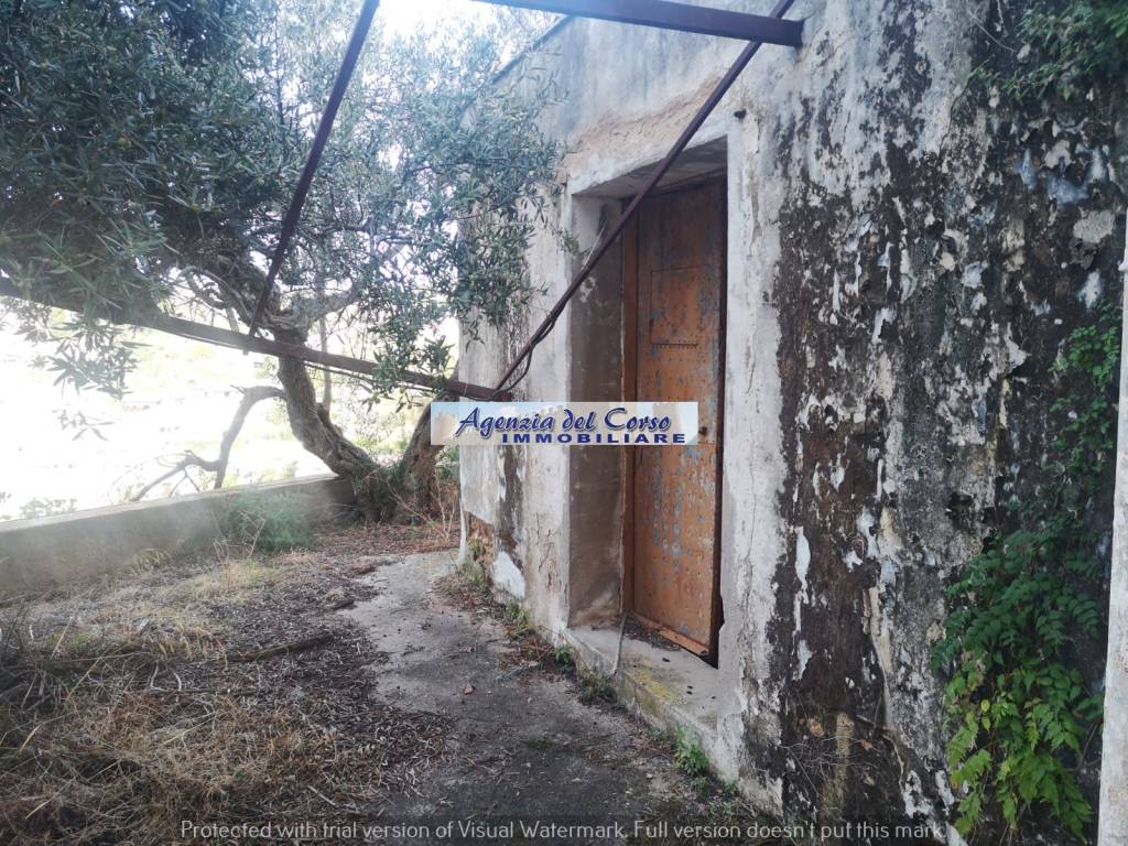 immagine annuncio 1 di 9