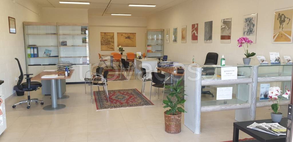 Ufficio in in affitto da privato a Grosseto via Zircone