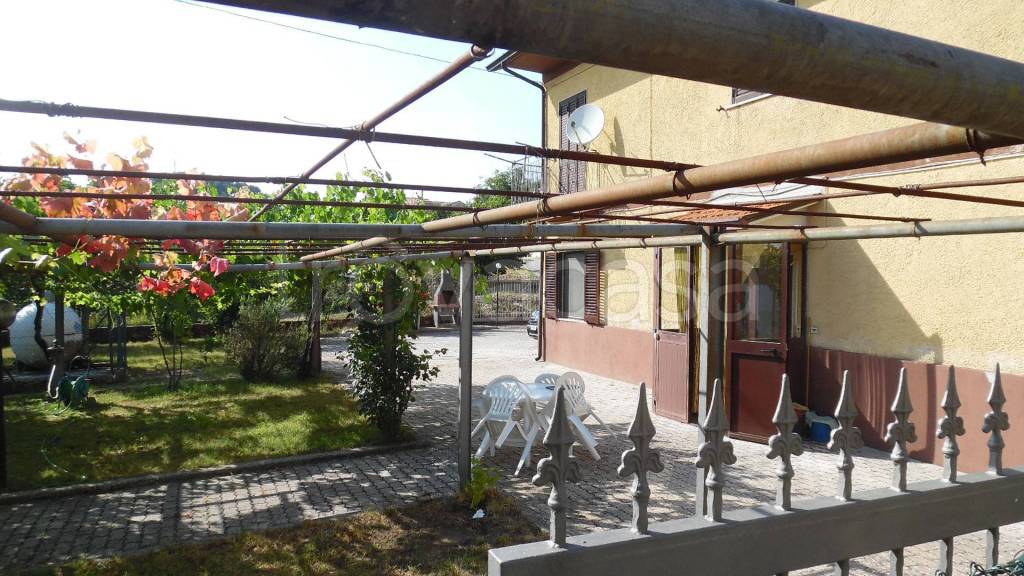 immagine annuncio 2 di 12