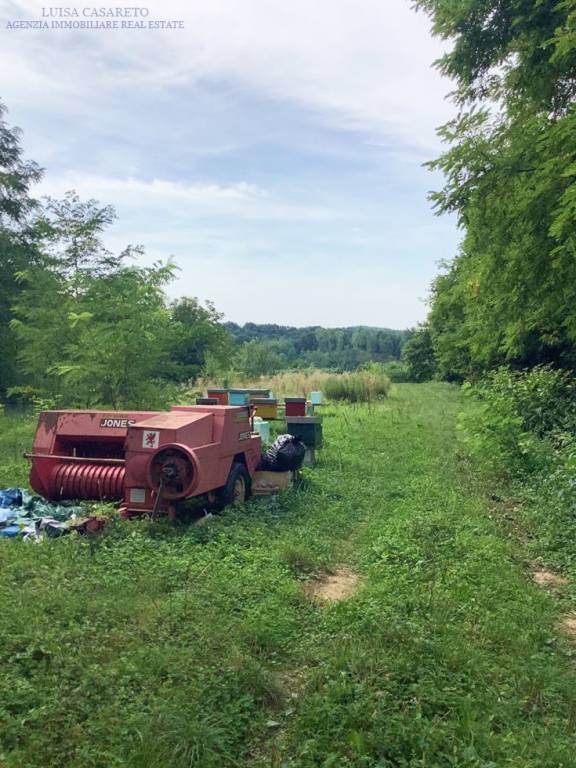 immagine annuncio 8 di 9