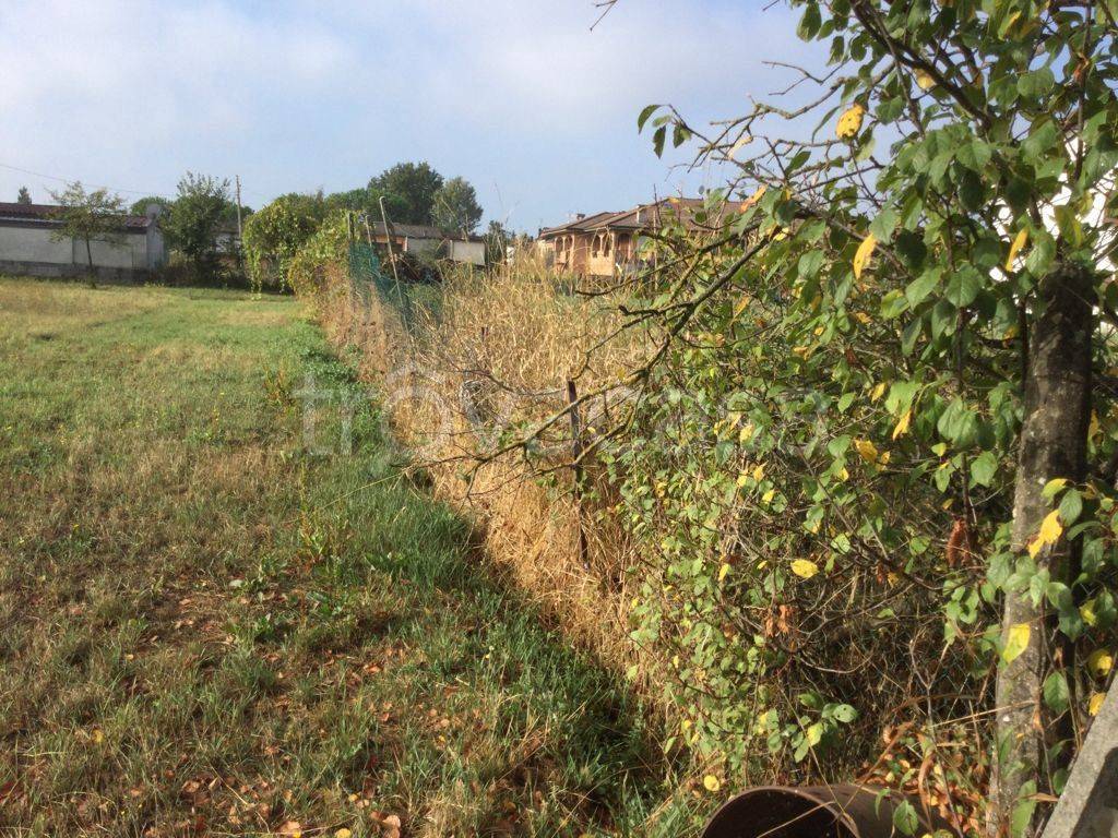 Terreno Residenziale in vendita a Bressana Bottarone via Cinque Martiri della Liberazione