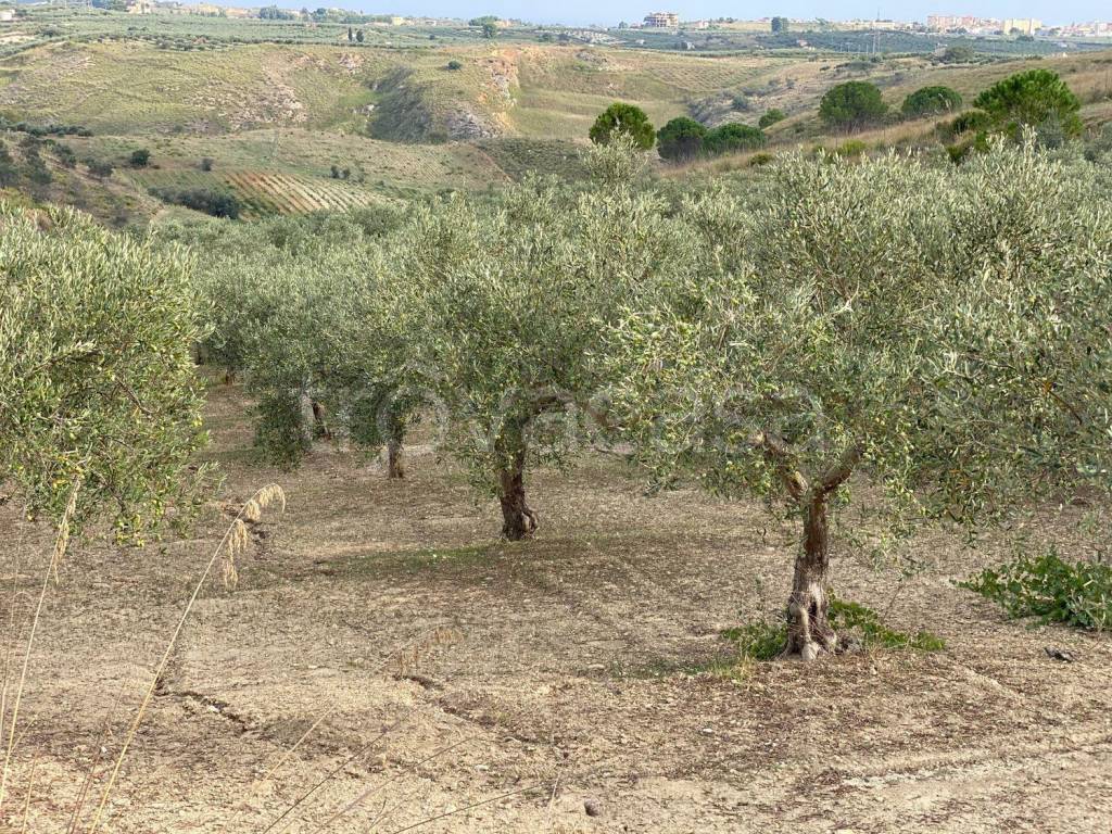 immagine annuncio 10 di 12