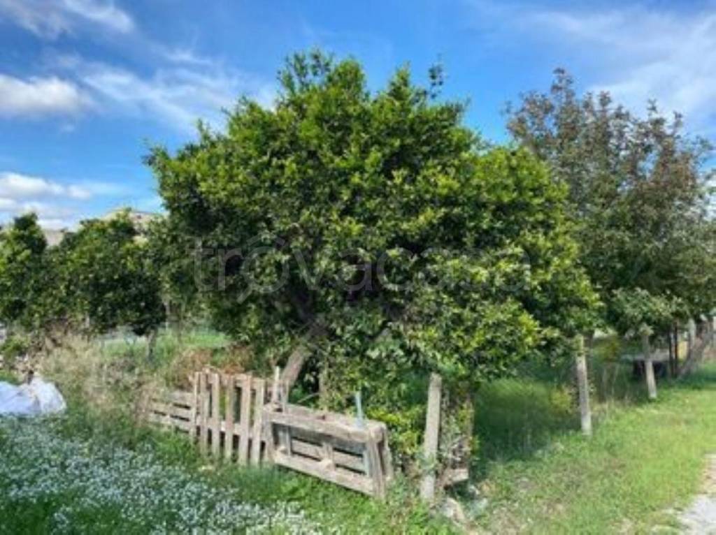 immagine annuncio 5 di 7