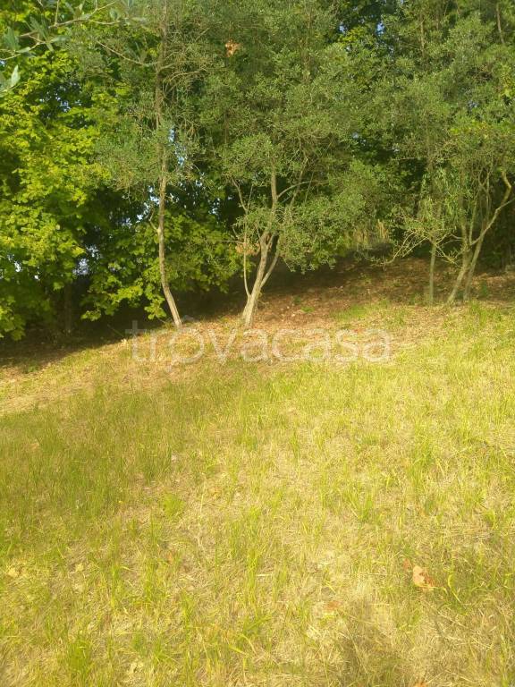 immagine annuncio 8 di 13