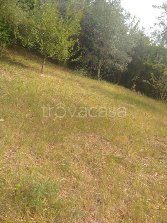 immagine annuncio 10 di 13