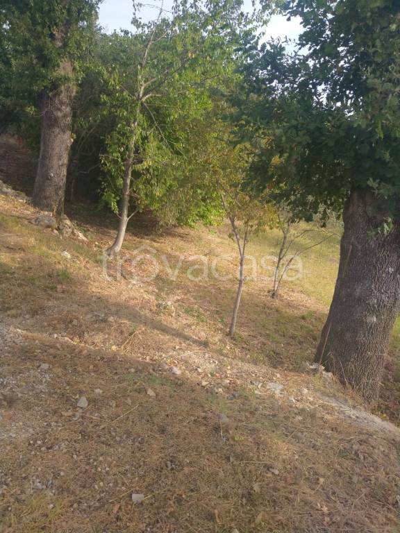 immagine annuncio 11 di 13