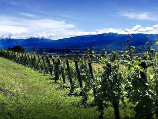 Terreno residenziale in vendita a lavis 