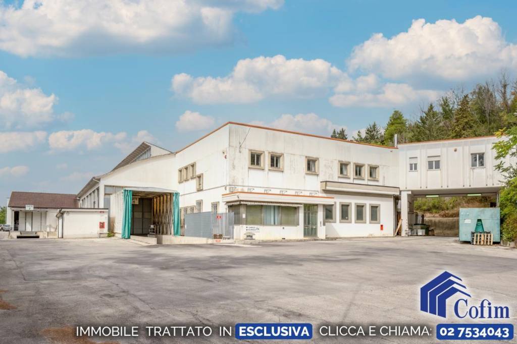 Magazzino in vendita a Morrovalle contrada Colli Asola, 65