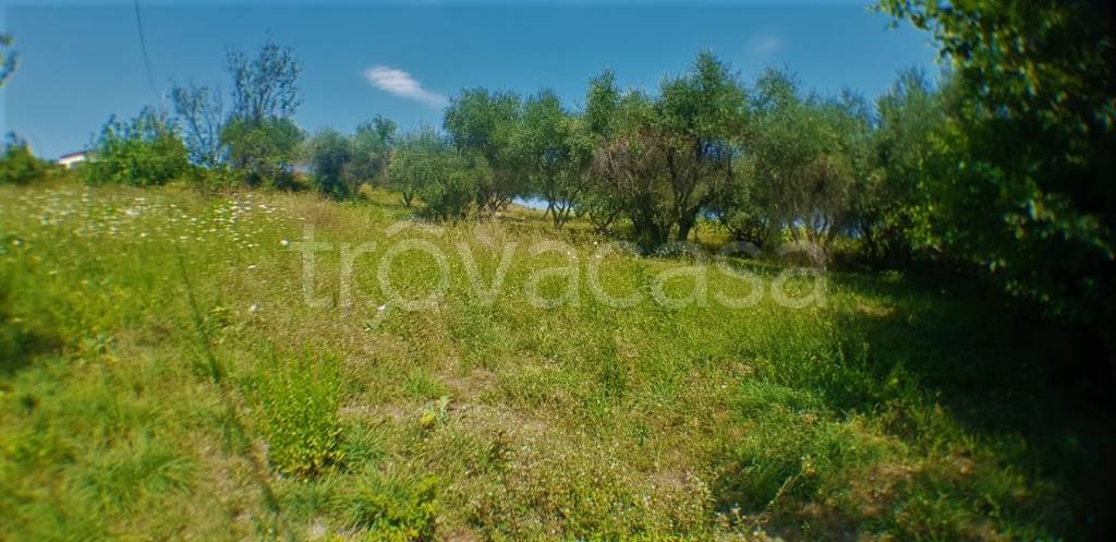 immagine annuncio 5 di 14