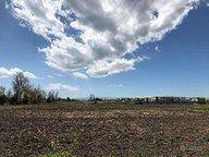 Terreno agricolo in vendita a pisticci 