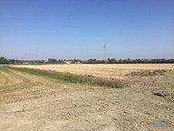 Terreno agricolo in vendita a pisticci 