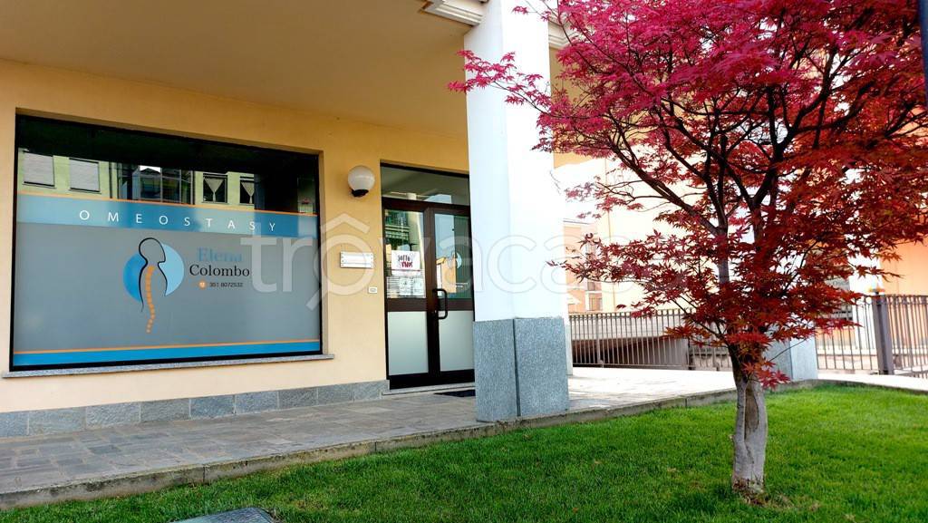 immagine annuncio 12 di 13