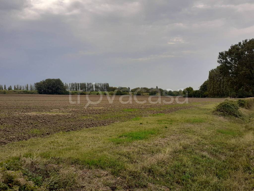 immagine annuncio 6 di 13