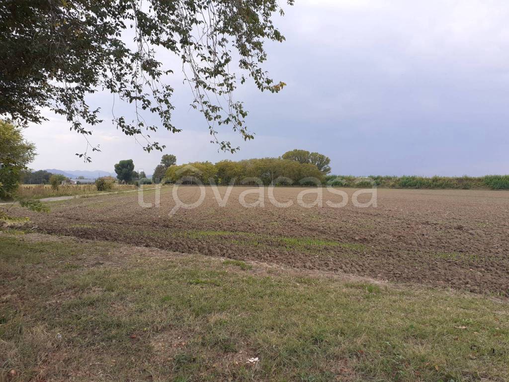 immagine annuncio 7 di 13