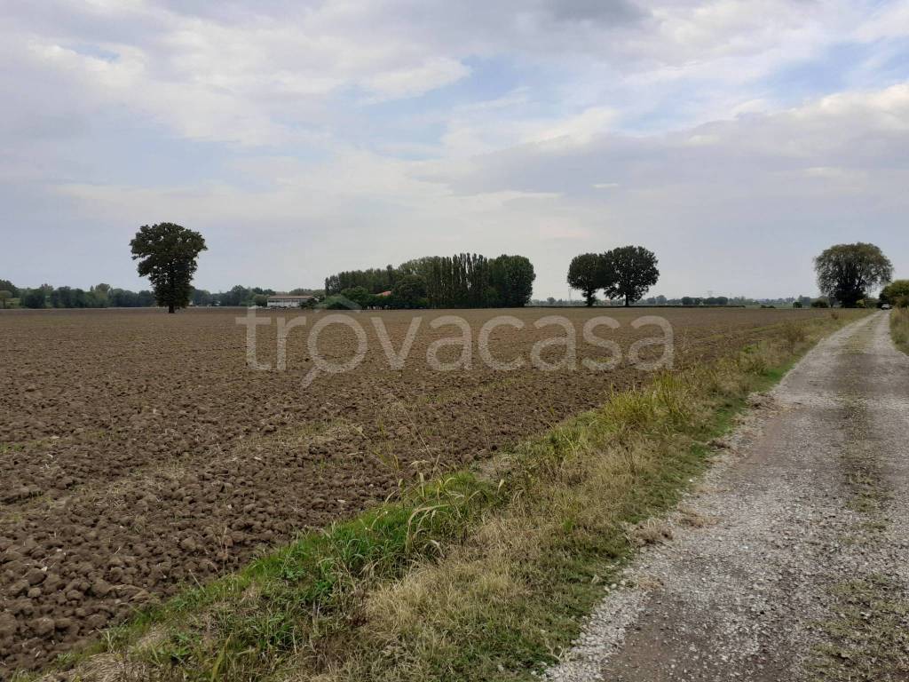 immagine annuncio 11 di 13