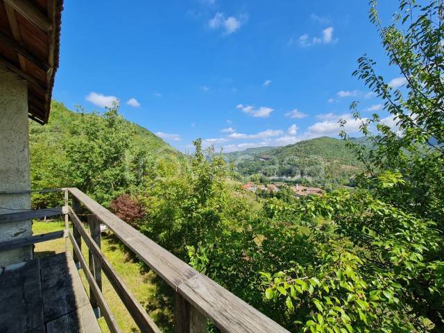 immagine annuncio 7 di 13