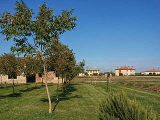 Terreno residenziale in vendita a badia polesine via rasa, 4