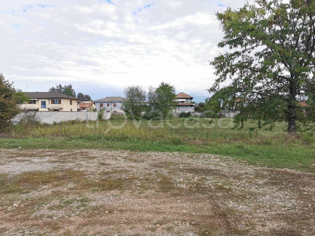 immagine annuncio 2 di 14