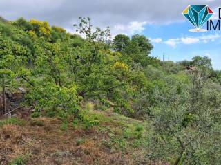 Terreno agricolo in vendita a giarre 