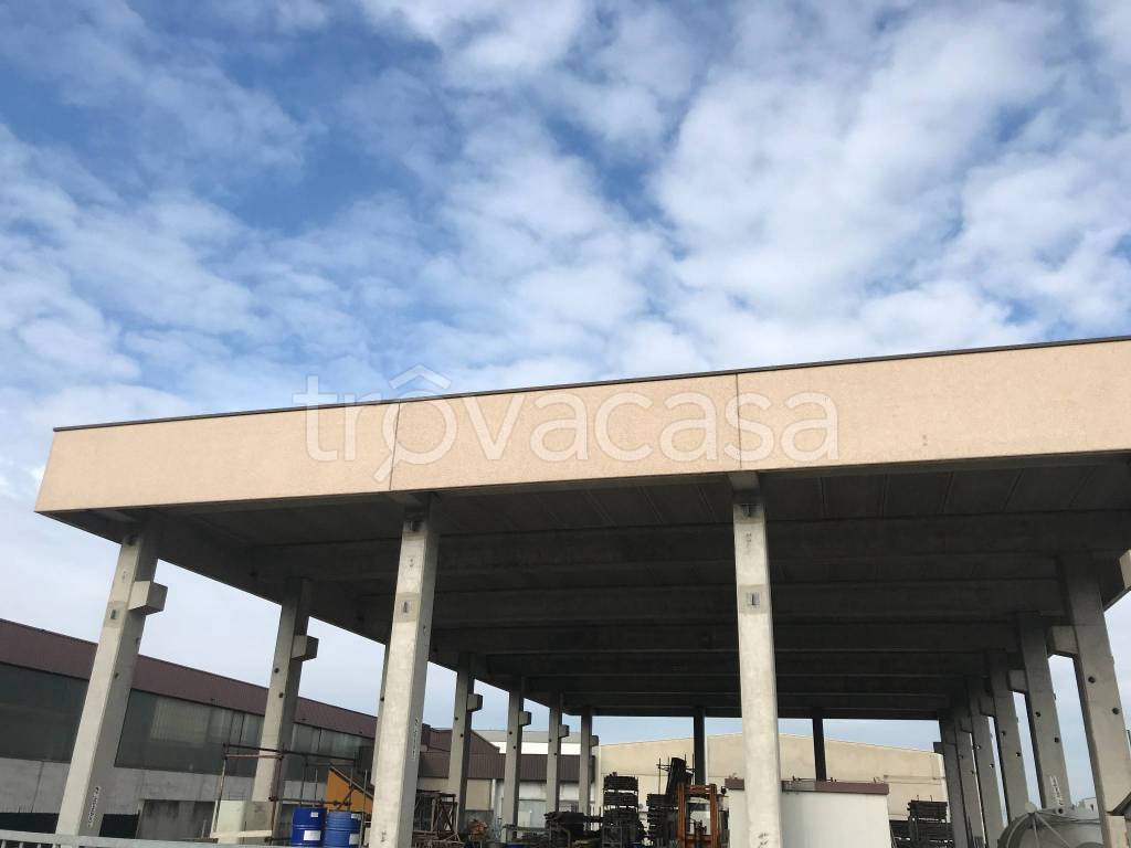 immagine annuncio 3 di 8