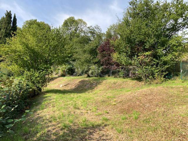 immagine annuncio 4 di 7