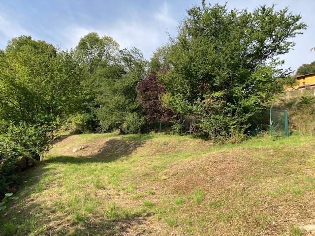 immagine annuncio 5 di 7