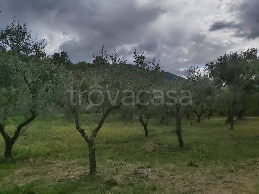 Terreno Agricolo in vendita a Marcellina via di Colle Cerro, snc