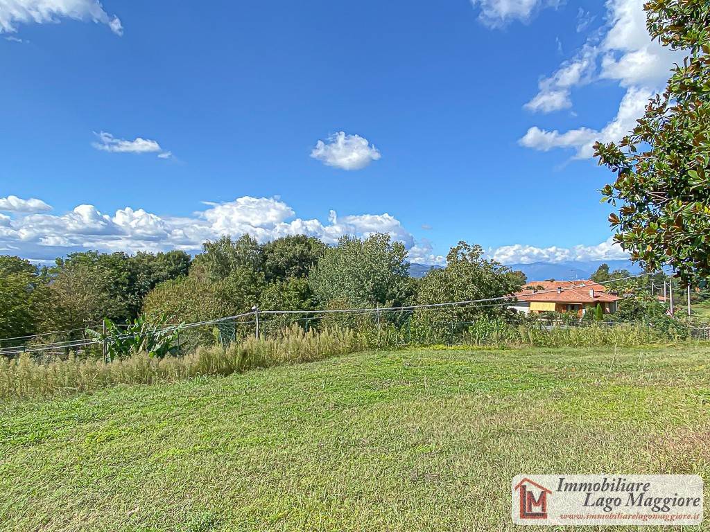 immagine annuncio 3 di 8