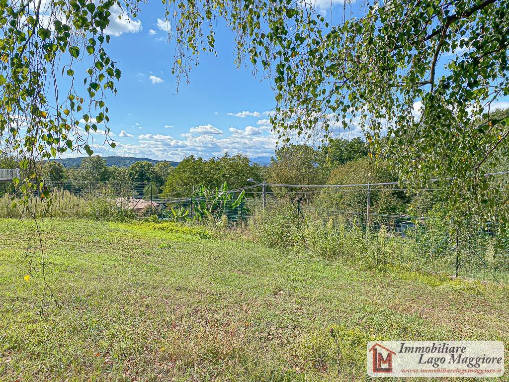 immagine annuncio 4 di 8