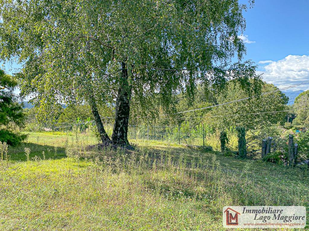 immagine annuncio 5 di 8