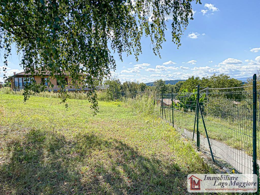 immagine annuncio 6 di 8