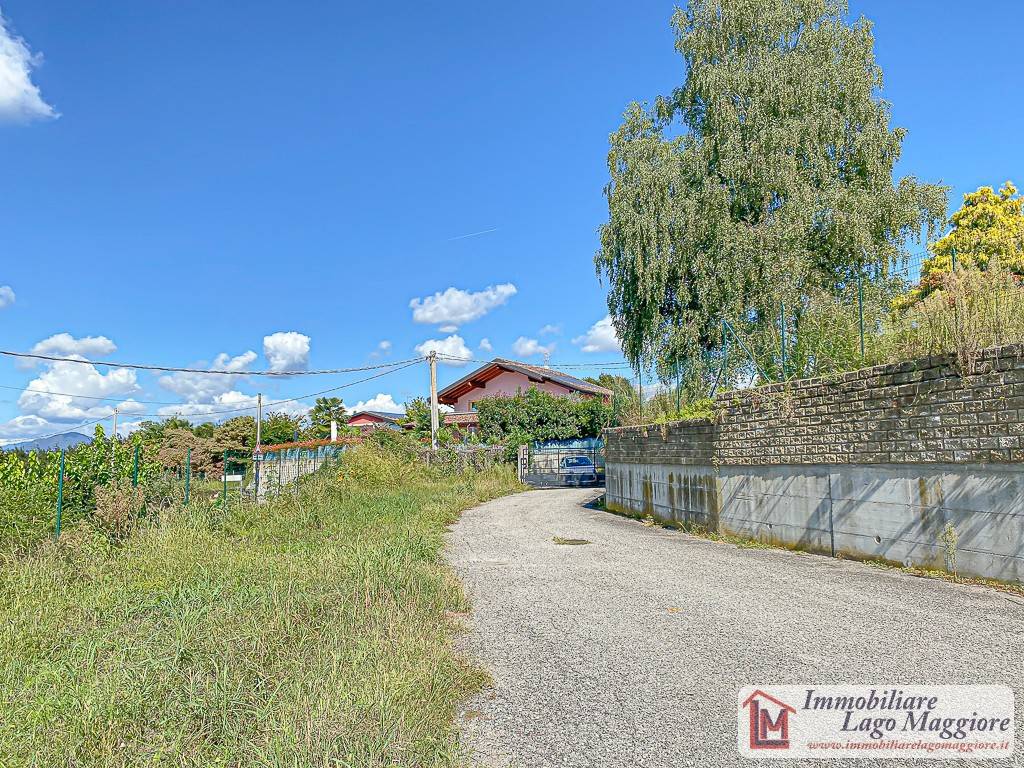 immagine annuncio 7 di 8