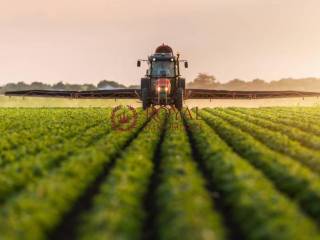 Terreno agricolo in affitto a livorno via di monterotondo