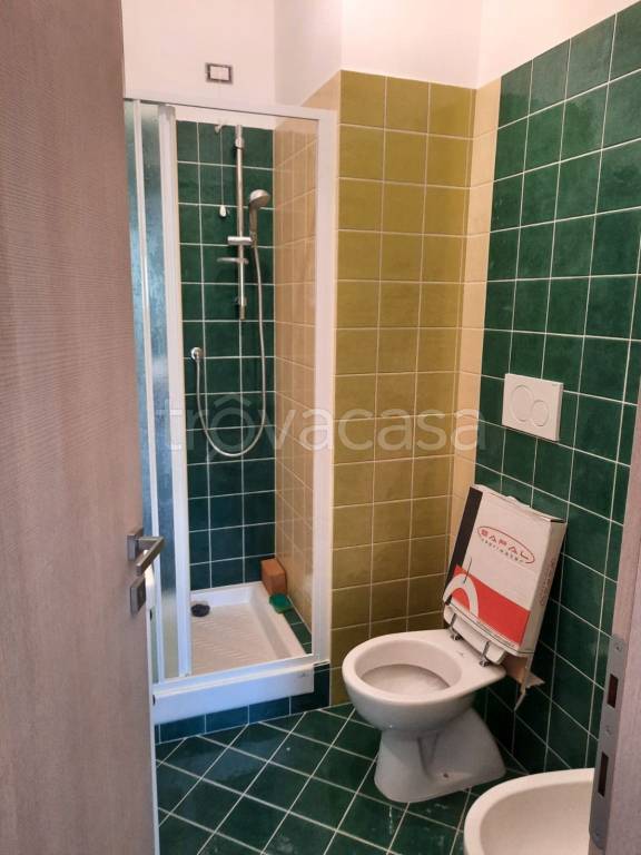 immagine annuncio 11 di 14