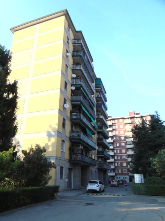 immagine annuncio 11 di 12