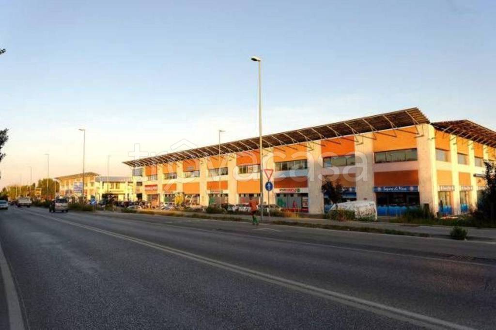 immagine annuncio 12 di 14