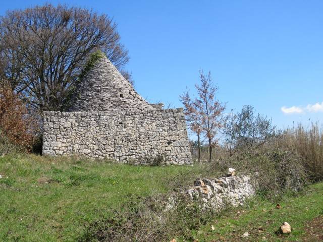 immagine annuncio 2 di 13