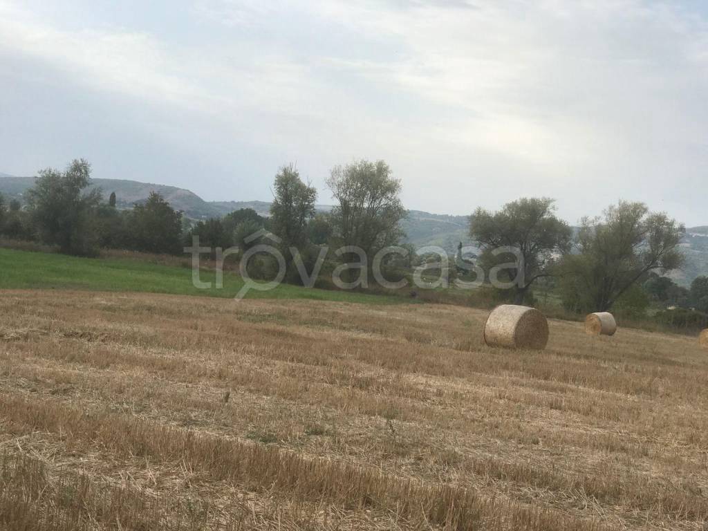Terreno Agricolo in vendita a Rieti via torretta, 44