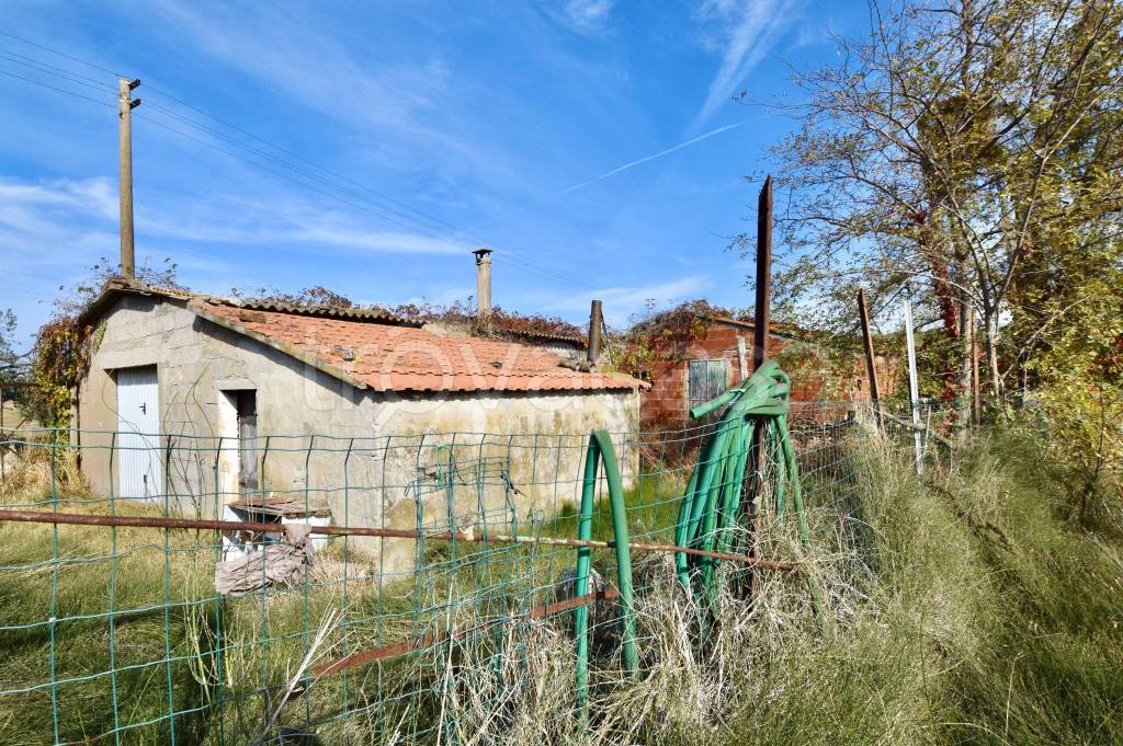 immagine annuncio 6 di 11