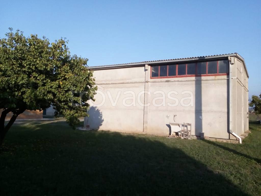 immagine annuncio 4 di 7