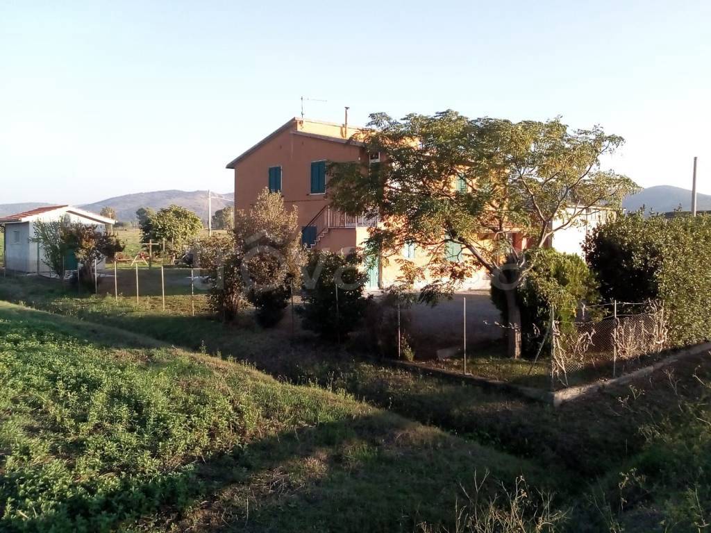 immagine annuncio 5 di 7