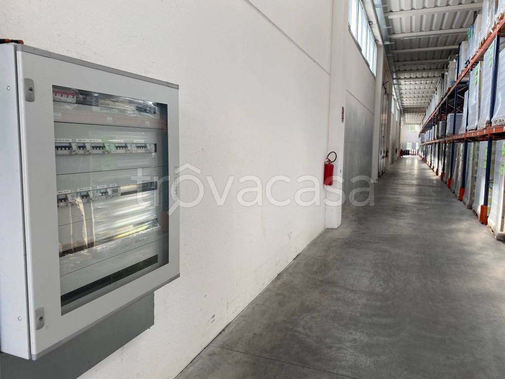 immagine annuncio 7 di 8